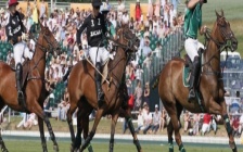 Investigation into Primary Produce & Polo Training by New IHF Chief